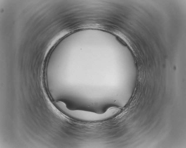 X0000067001139200604241357