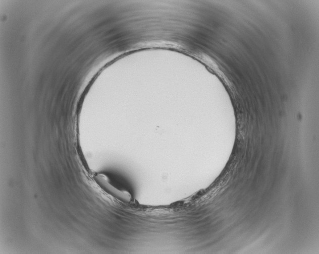 X0000067001140200604241357