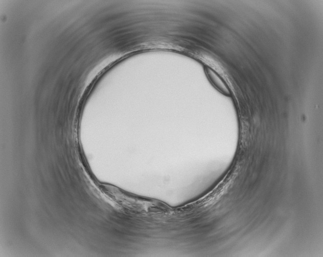 X0000067001141200604241357