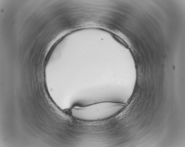 X0000067001142200604241357