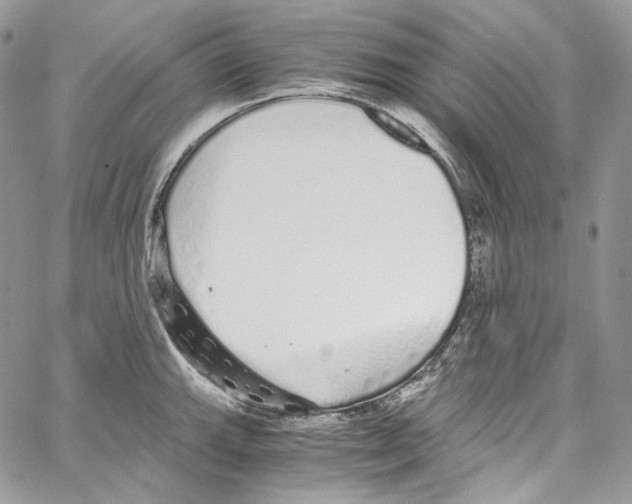 X0000067001143200604241357