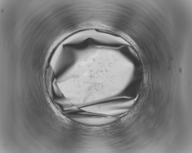 X0000067001144200604241357