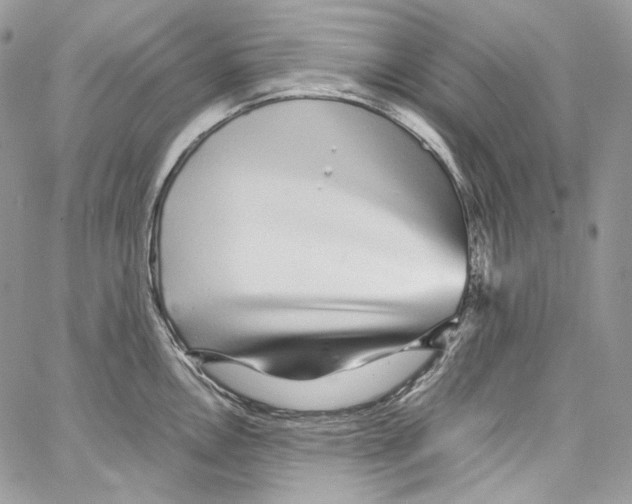 X0000067001146200604241358