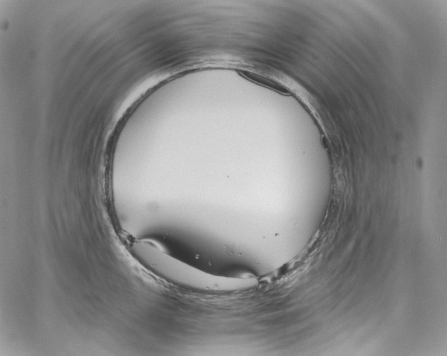 X0000067001147200604241358