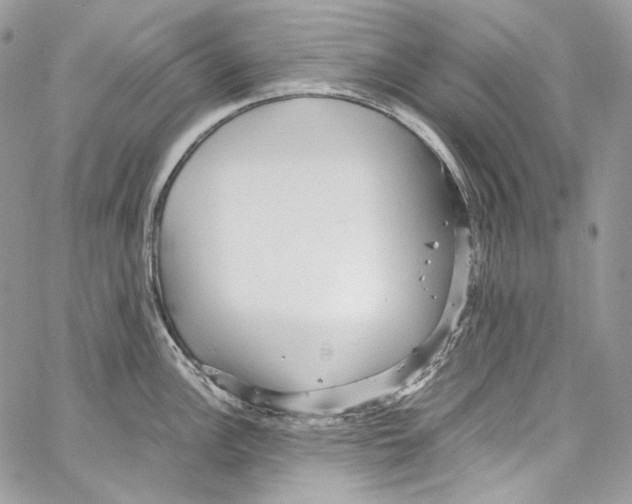 X0000067001148200604241358