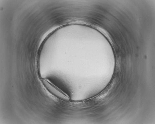 X0000067001149200604241358