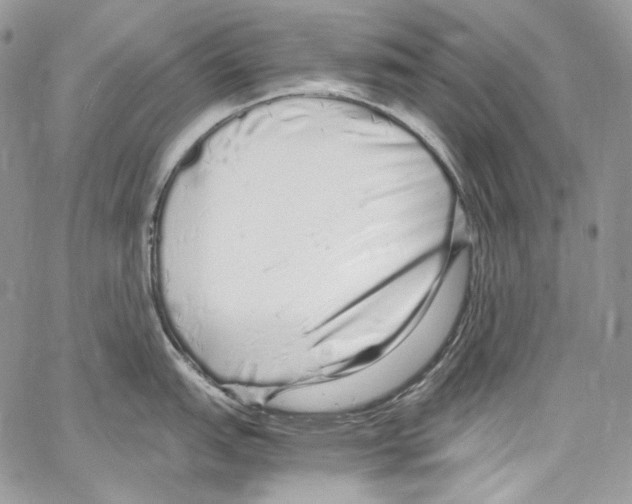 X0000067001151200604241358