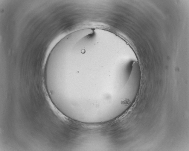 X0000067001152200604241358