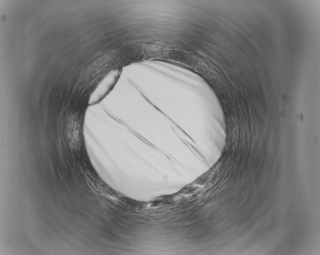 X0000067001154200604241357