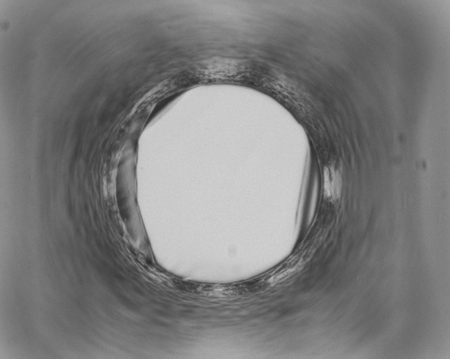 X0000067001155200604241357