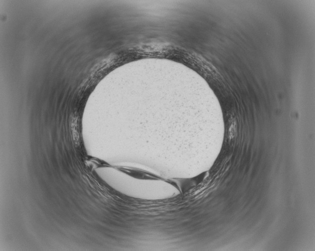 X0000067001156200604241357