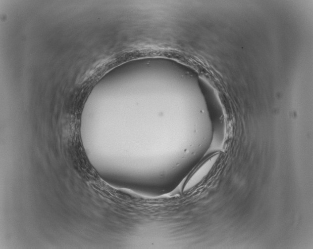 X0000067001157200604241357