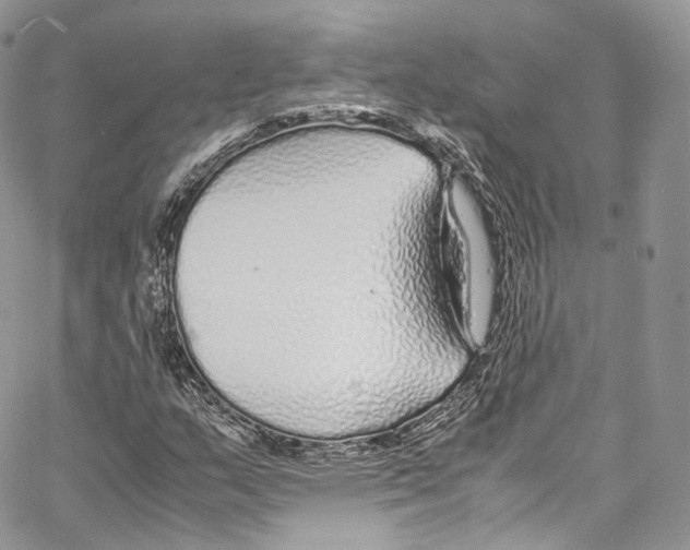 X0000067001159200604241357