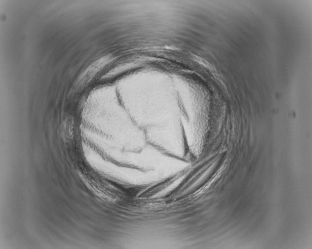 X0000067001161200604241357