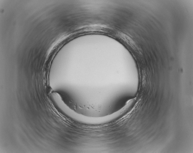 X0000067001164200604241357