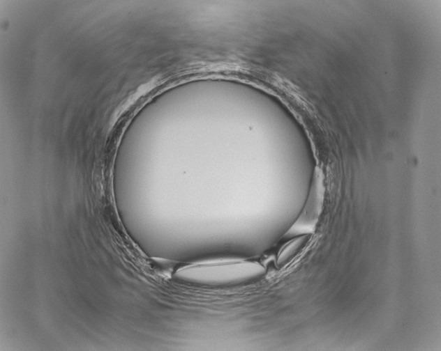 X0000067001165200604241357