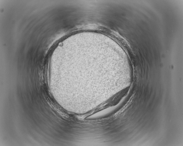 X0000067001166200604241357