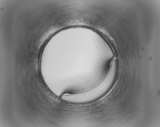 X0000067001167200604241357