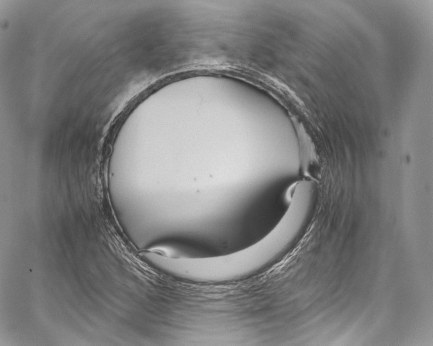 X0000067001168200604241357