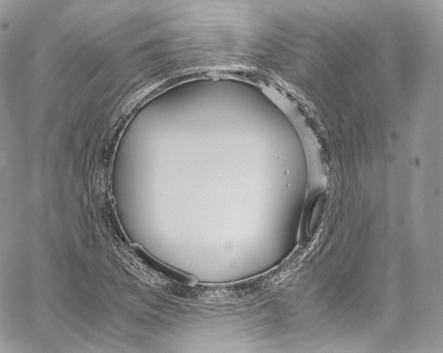 X0000067001169200604241357