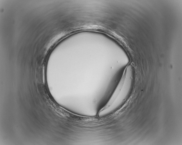 X0000067001171200604241357