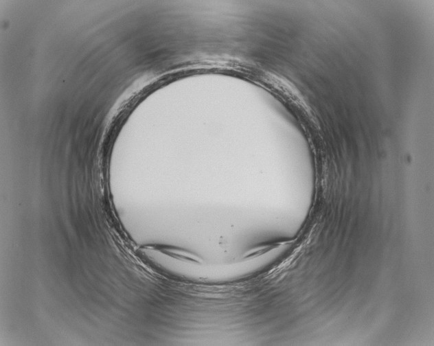 X0000067001172200604241357