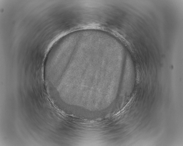 X0000067001174200604241356