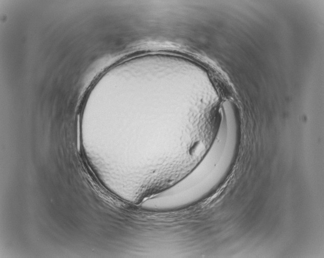 X0000067001175200604241356