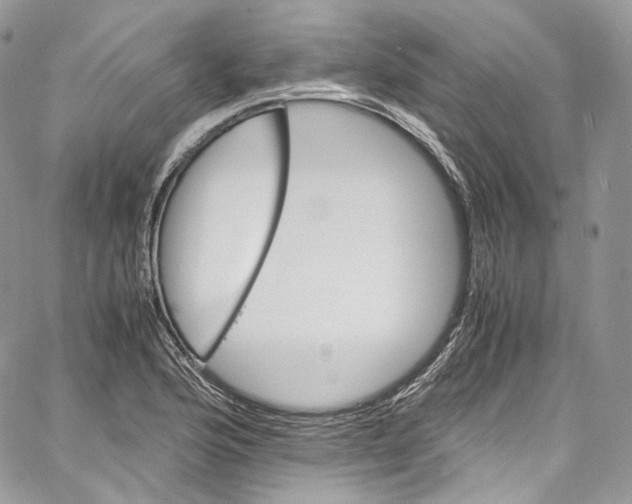 X0000067001176200604241356