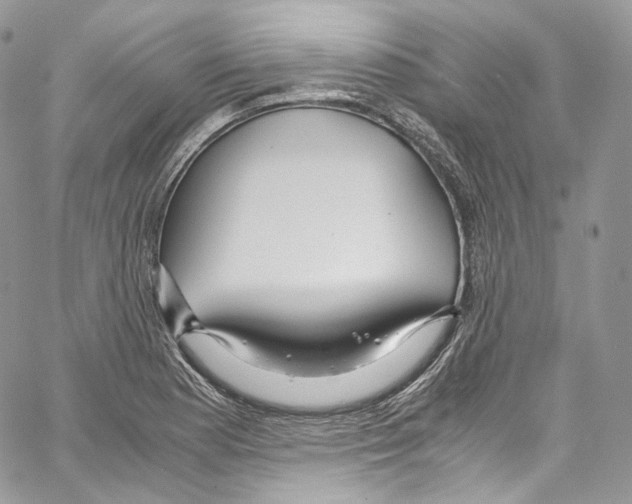 X0000067001177200604241356