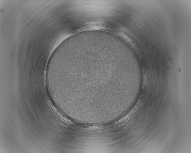 X0000067001178200604241356