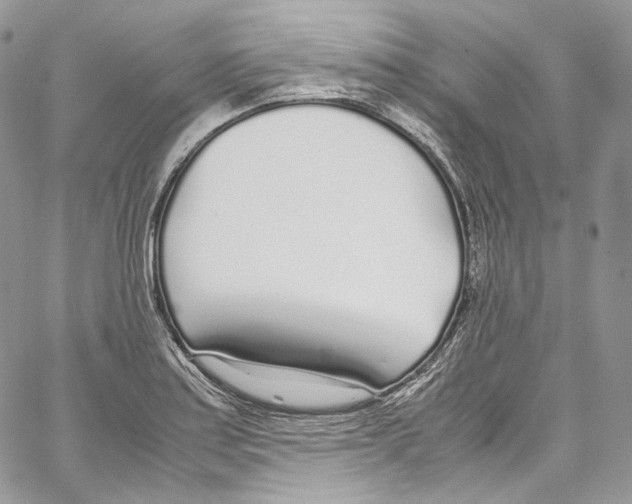 X0000067001179200604241356