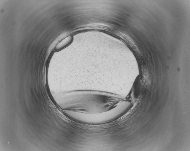 X0000067001180200604241356