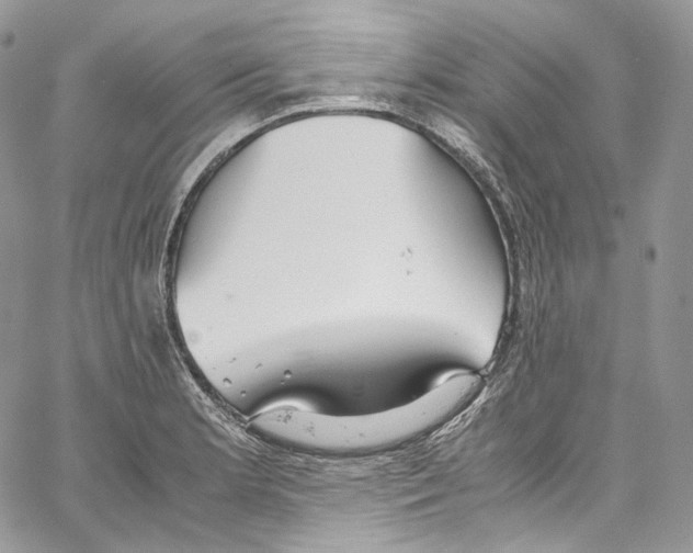 X0000067001181200604241356