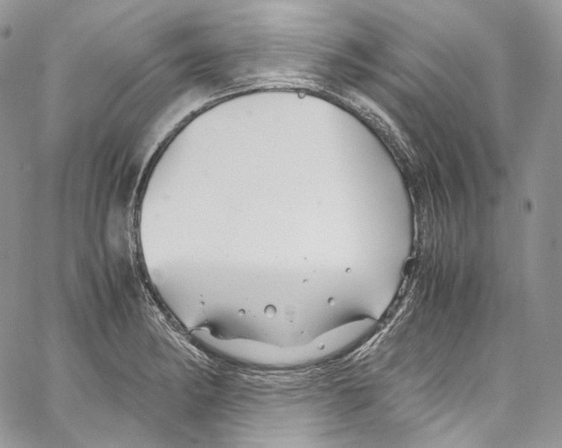 X0000067001182200604241356