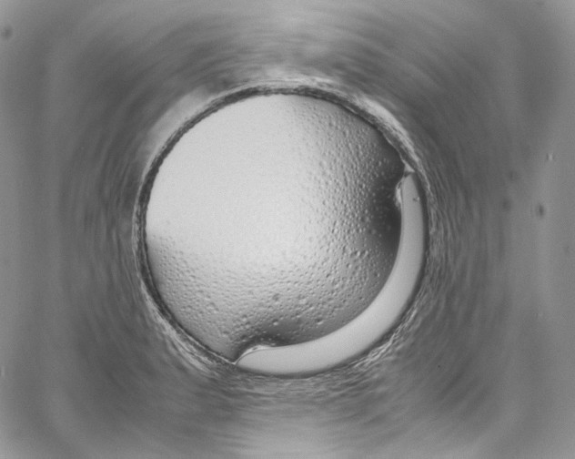 X0000067001183200604241356