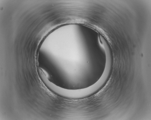 X0000067001184200604241356