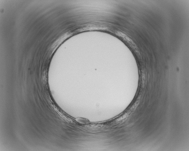 X0000067001185200604241356