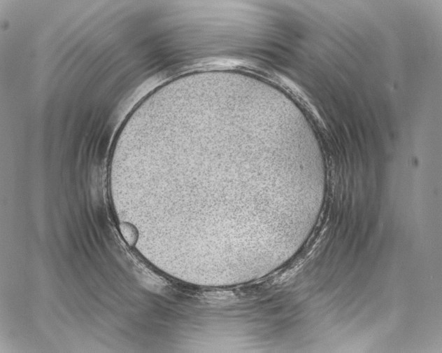 X0000067001186200604241356