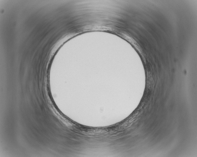 X0000067001187200604241356