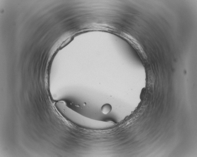 X0000067001188200604241356