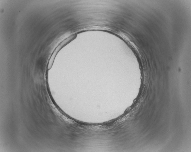 X0000067001189200604241356