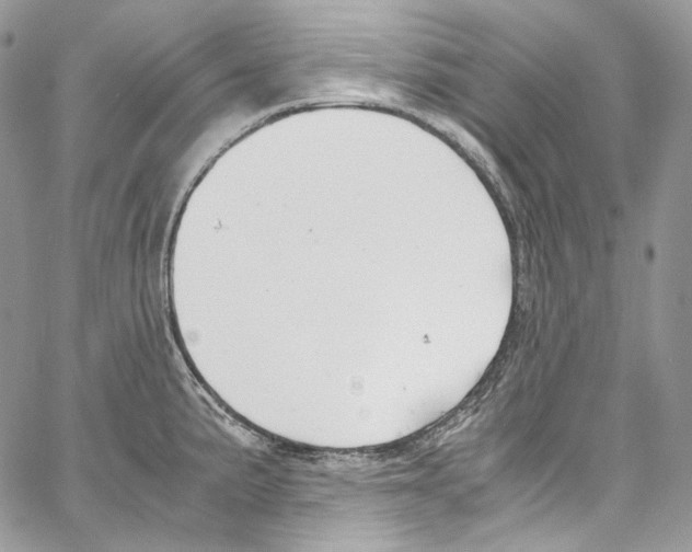 X0000067001191200604241356