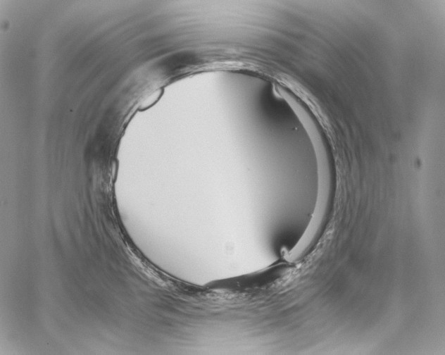 X0000067001193200604241356