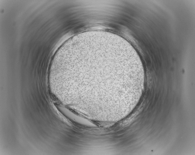 X0000067001194200604241356