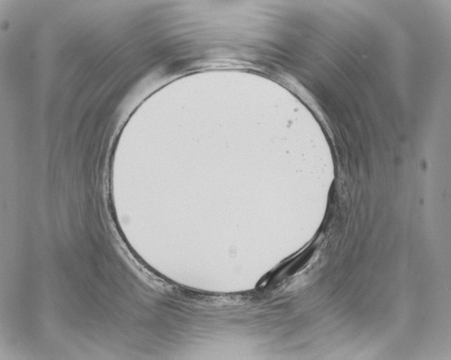 X0000067001195200604241356