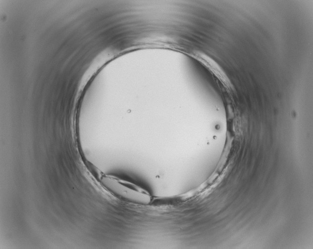 X0000067001196200604241356