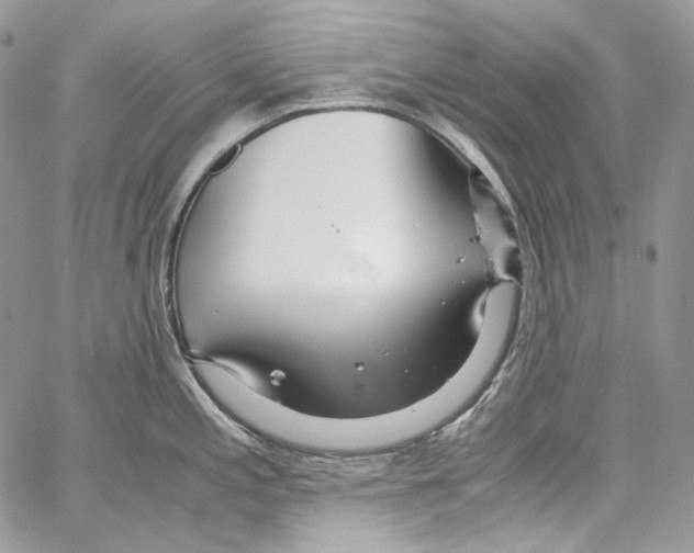 X0000067001197200604241356