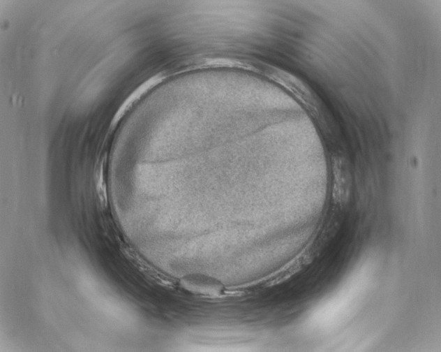 X0000067001198200604241356