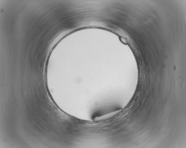 X0000067001199200604241356